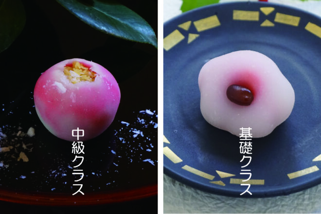 山門一生 紅白梅 やさい